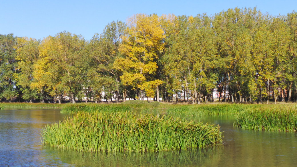 lugaresdeinteresburgos015003.jpg