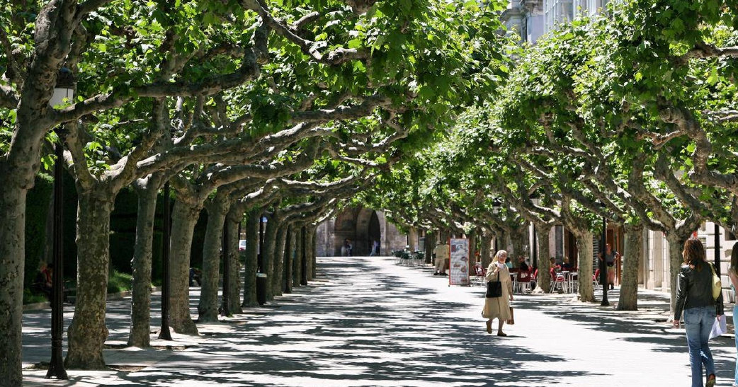 lugaresdeinteresburgos024002.jpg